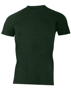 Koszulka męska Lasting CARLOS Merino Wool Zielony (6262)